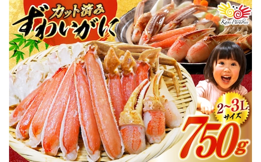 カット済 生 ずわいがに むき身 セット 総重量 750g (正味重量600g) 2-3Lサイズ [カネダイ 宮城県 気仙沼市 20565652] かに カニ ズワイガニ ずわい ズワイ 蟹 棒肉 ポーション かに鍋 かにしゃぶ 生ずわい