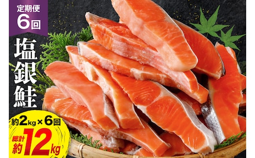 定期便 《6ヶ月連続お届け》 訳あり 銀鮭 切身 約2kg×6回 計12kg [宮城東洋 宮城県 気仙沼市 20564480] 鮭 海鮮 規格外 不揃い さけ サケ 鮭切身 シャケ 切り身 冷凍 家庭用 訳アリ おかず 弁当 支援 事業者支援