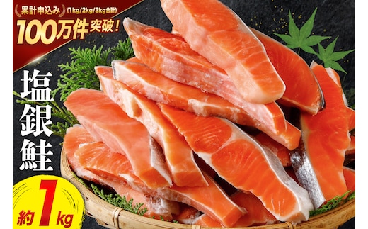 訳あり 銀鮭 切身 約1kg [宮城東洋 宮城県 気仙沼市 20564663] 鮭 海鮮 規格外 不揃い さけ サケ 鮭切身 シャケ 切り身 冷凍 家庭用 訳アリ おかず 弁当 支援 サーモン 銀鮭切り身 魚 わけあり