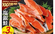 訳あり 銀鮭 切身 約3kg [宮城東洋 宮城県 気仙沼市 20564992] 鮭 魚介類 海鮮 訳アリ 規格外 不揃い さけ サケ 鮭切身 シャケ 切り身 冷凍 家庭用 おかず 弁当 支援 サーモン 銀鮭切り身 魚 わけあり