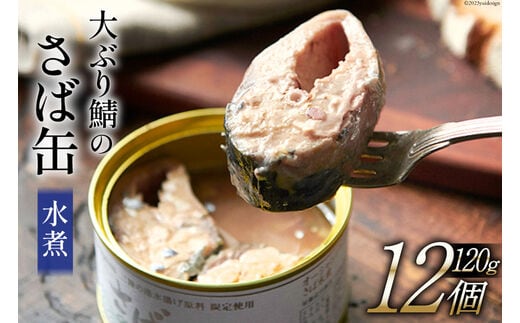 大ぶり鯖のさば缶 12缶 セット 水煮 [モンマルシェ 宮城県 気仙沼市 20565067] 缶詰 サバ缶 サバ 缶詰め かんづめ 鯖 さば さばの水煮 水煮 簡単調理 高級 保存食 常備 常温