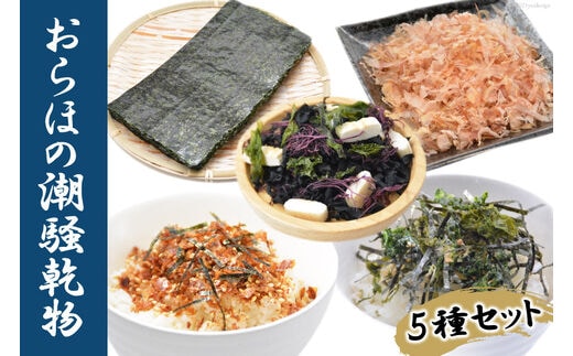 【港町から贈り物】おらほの潮騒乾物セット 5種類 [豊洋海産流通 宮城県 気仙沼市 20565628] 三陸 国産 焼のり ふりかけ かつお節 鰹節