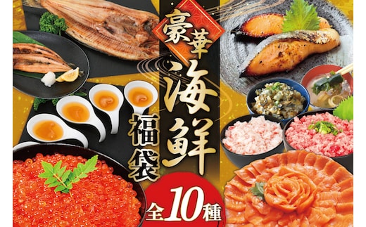 豪華 海鮮福袋 全10種 [カネダイ 宮城県 気仙沼市 20565836] 海鮮 魚介類 福袋 いくら ホタテ カニ かに ズワイガニ フカヒレ サーモン 魚介 魚 詰め合わせ 冷凍