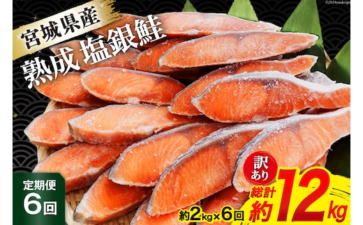 定期便 《6ヶ月連続お届け》 訳あり 宮城県産 熟成 銀鮭 切身 約2kg×6回 計12kg [宮城東洋 宮城県 気仙沼市 20564499] 魚 鮭 海鮮 国産 さけ 鮭 甘口 サケ 鮭切身 シャケ 切り身 冷凍 おかず 弁当 支援 事業者支援 サーモン