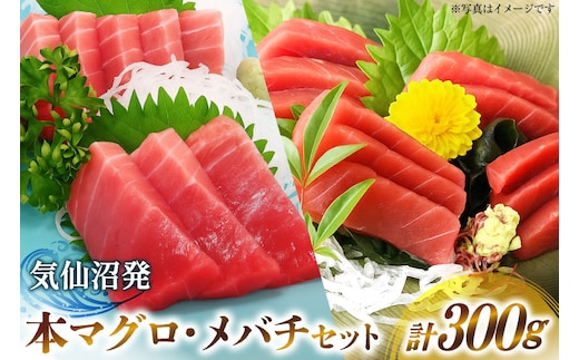 本マグロ・メバチセット [川印 村田漁業 宮城県 気仙沼市 20563739]魚 海鮮 魚介 まぐろ 鮪 メバチマグロ 刺身 本マグロ