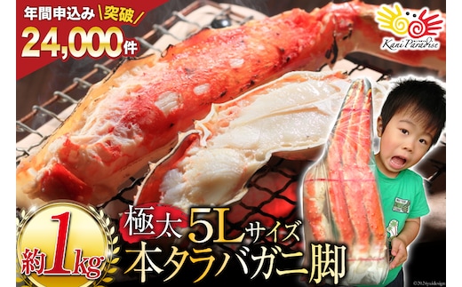 本 タラバガニ 脚 ボイル済 約1kg 極太5Lサイズ [カネダイ 宮城県 気仙沼市 20564323] カニ かに 蟹 たらばがに たらば蟹 タラバ蟹 たらば タラバ ボイル