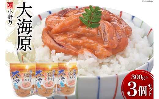 海の恵みをじっくり仕込んだ塩辛 大海原 300g 3個セット【ご飯のお供に、酒の肴に】 [小野万 宮城県 気仙沼市 20564654] 魚 魚介類 いか イカ 塩辛 いか塩辛 イカ塩辛 冷蔵 酒の肴 おつまみ ご飯のお供