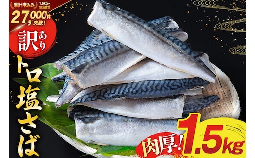 訳あり 塩サバ フィレ 1.5kg [足利本店 宮城県 気仙沼市 20565942] 魚介類 魚 海鮮 大容量 サバ さば 鯖 サバフィレ サバフィーレ 鯖フィレ 切り身 冷凍 訳アリ 訳あり わけあり トロサバ 減塩 とろさば