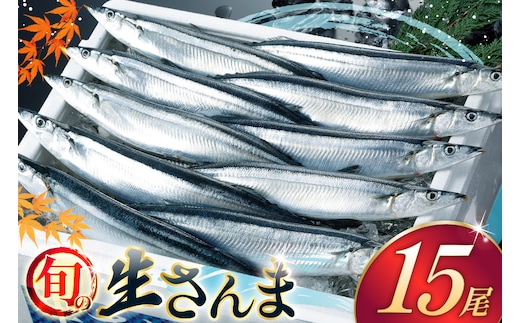 【期間限定発送】 生 さんま 15尾 [阿部長商店 宮城県 気仙沼市 20566342] 魚 サンマ 秋刀魚 生鮮 鮮魚 季節限定
