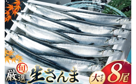 【期間限定発送】生 さんま 8尾 大サイズ [阿部長商店 宮城県 気仙沼市 20566343] 魚 サンマ 秋刀魚 生鮮 鮮魚 季節限定