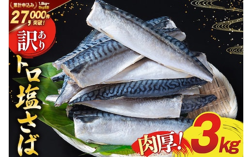 訳あり 塩サバ フィレ 3kg [足利本店 宮城県 気仙沼市 20564146] 魚介類 魚 海鮮 大容量 サバ さば 鯖 サバフィレ サバフィーレ 鯖フィレ トロサバ 訳アリ 訳あり わけあり 切り身 冷凍