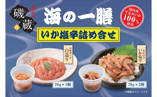 磯蔵 海の一膳 いか 塩辛 詰め合わせ 6点 セット [磯蔵 宮城県 気仙沼市 20565848] 惣菜 魚介類 魚介 イカ おかず おつまみ お刺身 するめいか スルメイカ