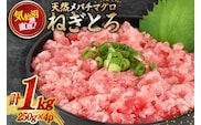 ネギトロ 気仙沼港直送 1kg (250g×4p) [畠和水産 宮城県 気仙沼市 20563348] メバチマグロタタキ 三陸産 小分け まぐろ丼 ねぎとろ まぐろ まぐろたたき 鮪