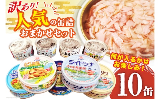 訳あり お任せ 缶詰 人気10缶セット [ミヤカン 宮城県 気仙沼市 20563805] ツナ缶 さば缶 さんま缶 いか缶 いわし缶 詰め合わせ おかず 小分け 常備 ストック 長期保存