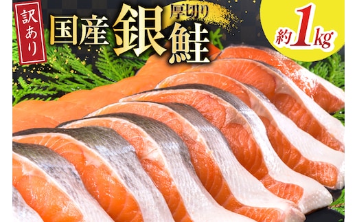 訳あり 国産 減塩 厚切り 塩銀鮭 切身 計 1kg [足利本店 宮城県 気仙沼市 20565949] サーモン 鮭 さけ サケ シャケ 魚 海鮮 魚介 甘塩味 規格外 不揃い 鮭切身 切り身 個包装 家庭用 訳アリ 塩分控えめ 無添加 冷凍