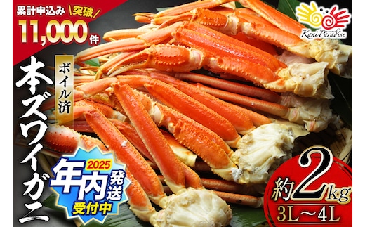 【2025 年内配送】 ボイル済み 本ずわいがに 脚 3L～4L 総重量 2kg [カネダイ 宮城県 気仙沼市 20564764] カニ 蟹 ズワイガニ ずわい蟹 ズワイ蟹 ずわい ズワイ 海鮮 魚介類 カニ脚 蟹脚 足 ボイル ご褒美 within2025