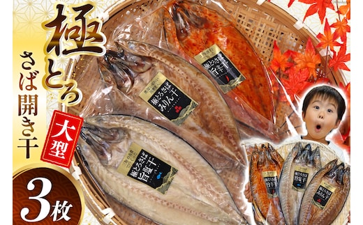 極とろさば開き干 干物3枚セット [カネダイ 宮城県 気仙沼市 20564354] 魚介類 魚介 魚貝 鯖 さば サバ 干物 開き干し みりん干し 旨塩干し 旨辛干し 大型 大きい 豪華 ごちそう