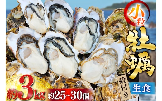 【期間限定発送】 牡蠣 小粒 1～1年半モノ 生食 殻付き牡蠣 約3kg (約25～30個入) [住喜水産 宮城県 気仙沼市 20565054] 冷蔵 新鮮 濃厚 真牡蠣 カキ かき 生牡蠣 魚貝類 貝 海鮮 魚介類 なべ カキフライ 牡蠣ご飯 魚介