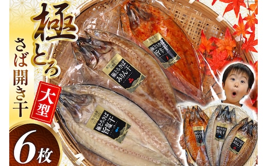 極とろさば開き干 干物6枚セット [カネダイ 宮城県 気仙沼市 20564355] 魚介類 魚介 魚貝 鯖 さば サバ 干物 開き干し みりん干し 旨塩干し 旨辛干し 大型 大きい 豪華 ごちそう