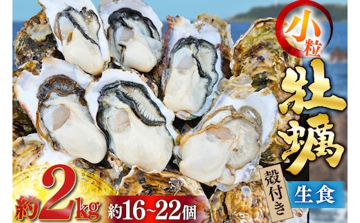 【期間限定発送】 牡蠣 小粒 1～1年半モノ 生食 殻付き牡蠣 約2kg (約16～22個入) [住喜水産 宮城県 気仙沼市 20565055] 冷蔵 新鮮 濃厚 真牡蠣 カキ かき 生牡蠣 魚貝類 貝 海鮮 魚介類 なべ カキフライ 牡蠣ご飯 魚介