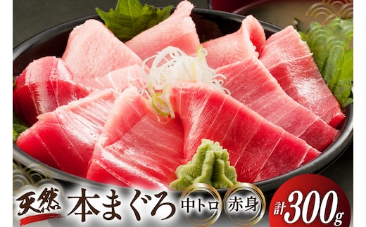 昭福丸の天然本まぐろ (中トロ･赤身) 各150g 計300g [臼福本店 宮城県 気仙沼市 20566155] 魚 鮮魚 刺身 トロ 天然本マグロ マグロ まぐろ 鮪 本まぐろ 本マグロ 本鮪 冷凍
