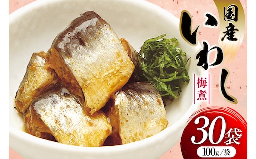 いわし 梅煮 100g 30袋 計3kg [気仙沼市物産振興協会 宮城県 気仙沼市 20565956] 魚 魚介類 梅煮 レトルト 簡単調理 常温 おかず 惣菜 国産