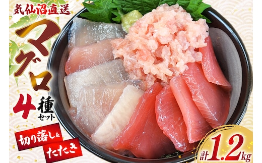 まぐろ 気仙沼直送 マグロ 切り落し 4品 セット 計1.2kg [北興物産 宮城県 気仙沼市 20565058] 鮪 魚 鮮魚 刺身 刺し身 さしみ 冷凍 個包装 海鮮丼 丼 魚介 魚介類