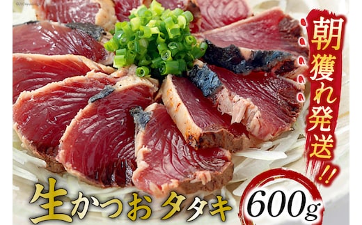 朝獲れ 産地直送 冷蔵便 生かつおタタキ 600g タレ付 真空パック [阿部長商店 宮城県 気仙沼市 20564103] 冷蔵 鮮魚 魚 かつお カツオ 鰹 刺身 冷蔵 季節限定 カツオタタキ かつおタタキ