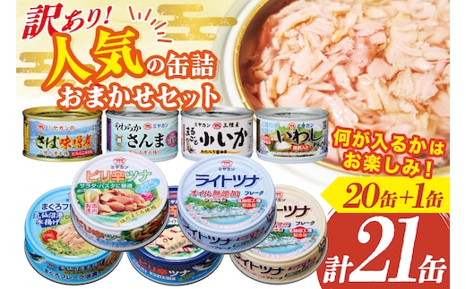 訳あり お任せ 人気 缶詰 20缶 +1缶 合計21缶 セット [ミヤカン 宮城県 気仙沼市 20566259] 缶詰 ツナ缶 さば缶 さんま缶 いか缶 いわし缶 鯖缶 ツナフレーク さば水煮 さば味噌煮 詰め合わせ 長期保存 非常食 備蓄 食べ比べ 防災 キャンプ アウトドア ふるさと納税