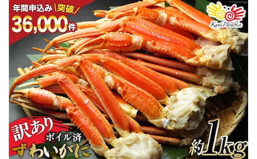 訳あり ボイル ずわいがに 肩付き脚 総重量1kg [カネダイ 宮城県 気仙沼市 20564325] カニ かに 魚介類 ズワイガニ ずわい蟹 ズワイ蟹 ずわい ズワイ 蟹 カニ カニ脚 蟹脚 不揃い 規格外 海鮮 ご褒美