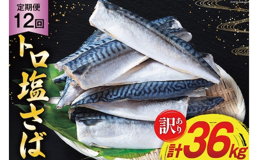 12回 定期便 訳あり 塩サバ フィレ 3kg 総計36kg [足利本店 宮城県 気仙沼市 20564960] 魚介類 魚 サバ サバフィレ さば 鯖 サバフィーレ 鯖フィレ 切り身 冷凍 訳アリ 訳ありサバ 大容量 わけあり トロ