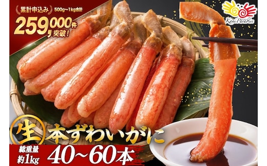 生本ずわいがに 棒肉 ポーション 40～60本入 総重量 約1kg [カネダイ 宮城県 気仙沼市 20564361] むき身 カニ かに 生 ずわいがに ズワイガニ ずわい蟹 ズワイ蟹 蟹 カニ脚 蟹脚 カニ棒肉