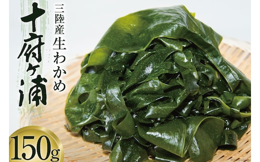 生わかめ 三陸産 十府ヶ浦 150g [マルニシ 宮城県 気仙沼市 20564316] わかめ 海藻 三陸わかめ