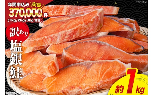 訳あり 銀鮭 切身 約1kg [宮城東洋 宮城県 気仙沼市 20564663] 鮭 海鮮 規格外 不揃い さけ サケ 鮭切身 シャケ 切り身 冷凍 家庭用 訳アリ おかず 弁当 支援 サーモン 銀鮭切り身 魚 わけあり