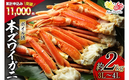 ボイル済み 本ずわいがに 脚 3L～4L 総重量 2kg [カネダイ 宮城県 気仙沼市 20564764] カニ 蟹 ズワイガニ ずわい蟹 ズワイ蟹 ずわい ズワイ 海鮮 魚介類 カニ脚 蟹脚 足 ボイル ご褒美