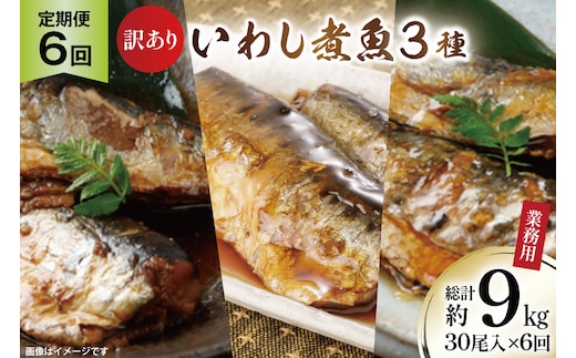 6回 定期便 訳あり 業務用 いわし煮魚 3種 ×10尾 計30尾入 約1.5kg ×6回 総重量 約9kg [カネダイ 宮城県 気仙沼市 20565564] 魚 魚介 煮魚 国産 生姜煮 梅肉煮 みぞれ煮 おかず 焼き魚 簡単 時短 訳アリ 冷凍