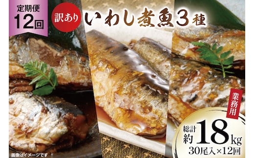 12回 定期便 訳あり 業務用 いわし煮魚 3種 ×10尾 計30尾入 約1.5kg ×12回 総重量 約18kg [カネダイ 宮城県 気仙沼市 20565565] 魚 魚介 煮魚 国産 生姜煮 梅肉煮 みぞれ煮 おかず 焼き魚 簡単 時短 訳アリ 冷凍