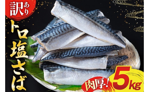 訳あり 塩サバ フィレ 5kg [足利本店 宮城県 気仙沼市 20565496] 魚介類 魚 海鮮 大容量 サバ さば 鯖 サバフィレ サバフィーレ 鯖フィレ 切り身 冷凍 訳アリ わけあり トロサバ 減塩 とろさば