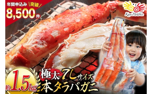 本 タラバガニ 脚 ボイル済 約1.5kg 極太7Lサイズ [カネダイ 宮城県 気仙沼市 20564326] カニ かに 蟹 たらばがに たらば蟹 タラバ蟹 たらば タラバ ボイル
