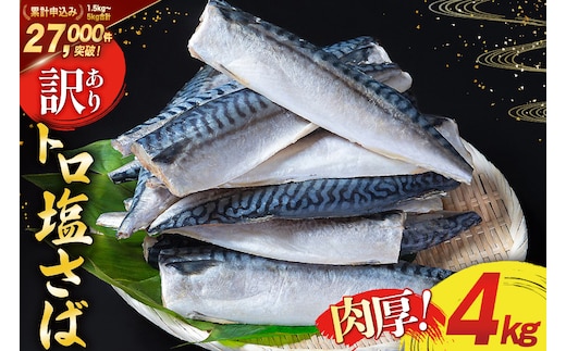 訳あり 塩サバ フィレ 4kg [足利本店 宮城県 気仙沼市 20565496] 魚介類 魚 海鮮 大容量 サバ さば 鯖 サバフィレ サバフィーレ 鯖フィレ 切り身 冷凍 訳アリ わけあり トロサバ 減塩 とろさば
