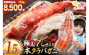 本 タラバガニ 脚 ボイル済 約1.5kg 極太7Lサイズ [カネダイ 宮城県 気仙沼市 20564326] カニ かに 蟹 たらばがに たらば蟹 タラバ蟹 たらば タラバ ボイル