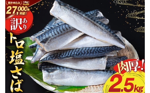 訳あり 塩サバ フィレ 2.5kg [足利本店 宮城県 気仙沼市 20564146] 魚介類 魚 海鮮 大容量 サバ さば 鯖 サバフィレ サバフィーレ 鯖フィレ トロサバ 訳アリ 訳あり わけあり 切り身 冷凍