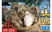 【期間限定発送】 TVで紹介！ 牡蠣 大粒 3～4年モノ 生食 殻付き牡蠣 約3kg(約9-12個入) [住喜水産 宮城県 気仙沼市 20564160] 期間限定 冷蔵 新鮮 濃厚 真牡蠣 カキ かき 生牡蠣 魚貝類 生牡蠣 貝 海鮮 魚介類 なべ カキフライ 牡蠣ご飯 魚介