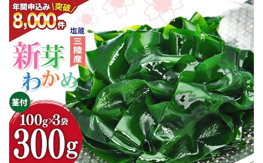 【漁師さんからのおすそわけ】新芽わかめ 300g(約100g×3袋) [かわむら家 宮城県 気仙沼市 20564375] わかめ ワカメ 若芽 海藻 国産 三陸 味噌汁 小分け 三陸わかめ