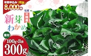 【漁師さんからのおすそわけ】新芽わかめ 300g(約100g×3袋) [かわむら家 宮城県 気仙沼市 20564375] わかめ ワカメ 若芽 海藻 国産 三陸 味噌汁 小分け 三陸わかめ