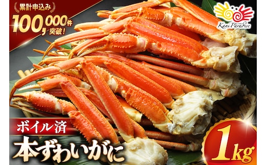 訳あり ボイル ずわいがに 肩付き脚 総重量1kg [カネダイ 宮城県 気仙沼市 20564325] カニ かに 魚介類 ズワイガニ ずわい蟹 ズワイ蟹 ずわい ズワイ 蟹 カニ カニ脚 蟹脚 不揃い 規格外 海鮮 ご褒美