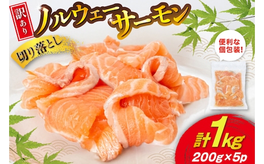 訳あり 無添加 ノルウェー産 アトランティックサーモン 切り落とし おさしみ用 1kg 200g ×5p [足利本店 宮城県 気仙沼市 20565179] サーモン さけ サケ 魚介類 鮭 尾っぽ はしっこ お刺し身 刺し身 刺身 個包装 海鮮 魚介 魚 小分け 冷凍 真空包装 ノルウェー