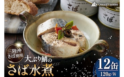 OceanPrincess 大ぶり鯖のさば缶 12缶 セット 水煮 [モンマルシェ 宮城県 気仙沼市 20565067] 缶詰 サバ缶 サバ 缶詰め かんづめ 鯖 さば さばの水煮 水煮 簡単調理 高級 保存食 常備 常温 オーシャンプリンセス