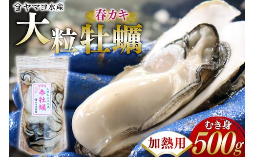 【期間限定発送】 ヤマヨ水産の牡蠣 加熱用 500g 《5月前半～出荷》 [気仙沼市物産振興協会 宮城県 気仙沼市 20565983] 魚介類 海鮮 牡蠣 春 かき 春牡蠣 春かき 期間限定 冷蔵 加熱
