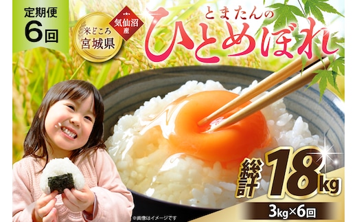 6回 定期便 米 宮城県産 とまたんのひとめぼれ 3kg 総計18kg [サンフレッシュ小泉農園 宮城県 気仙沼市 20566083] ひとめぼれ ブランド米 白米 精米 ご飯 ごはん コメ こめ お米 小分け 家庭用